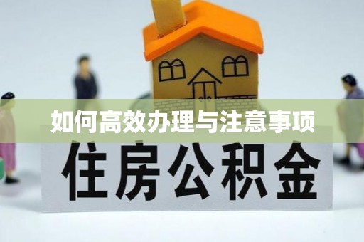 甘州如何高效办理与注意事项