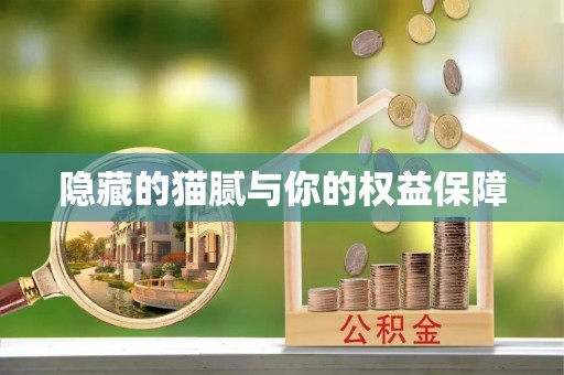 甘州隐藏的猫腻与你的权益保障