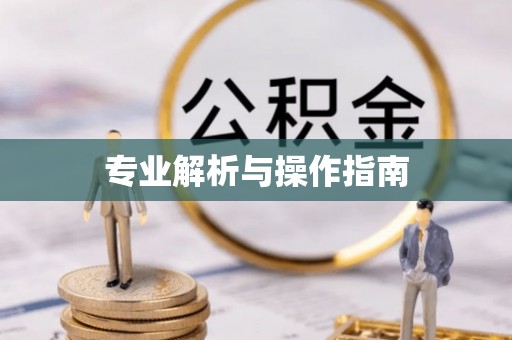 甘州专业解析与操作指南