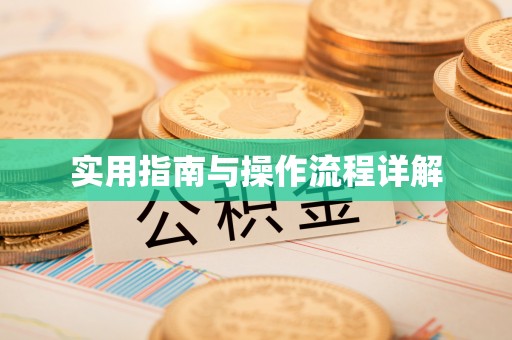 甘州实用指南与操作流程详解
