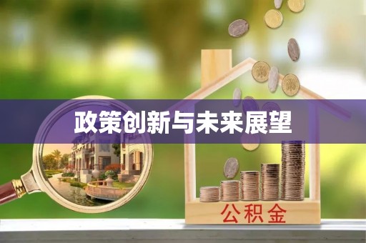 甘州政策创新与未来展望