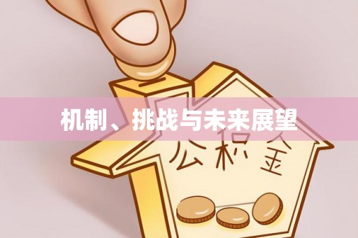 甘州机制、挑战与未来展望